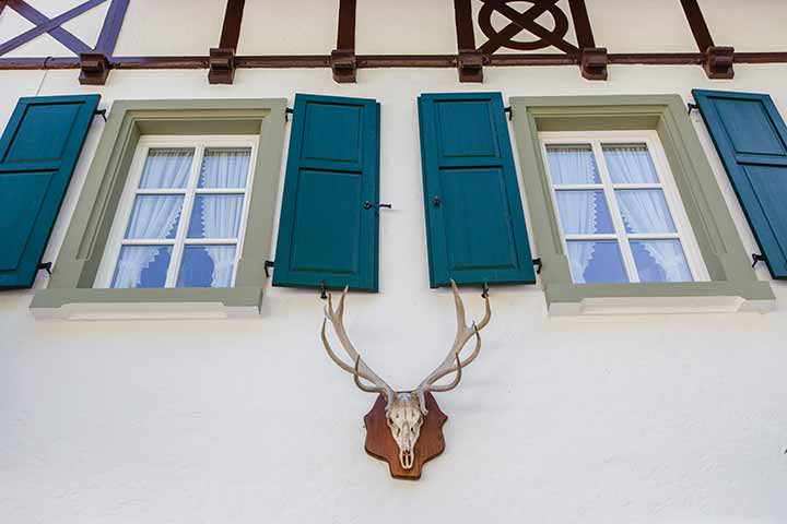 Gasthof Bischofsmühle im Frankenwald – Restaurant & Atmosphäre – Foto 1