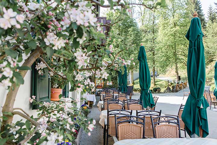 Gasthof Bischofsmühle im Frankenwald – Restaurant & Atmosphäre – Foto 6