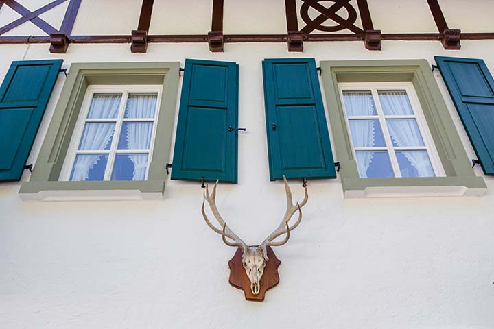 Gasthof Bischofsmühle im Frankenwald – Restaurant